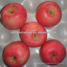 red fuji apple price